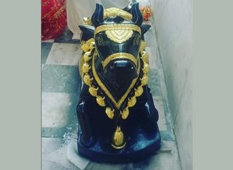 Nandi ji